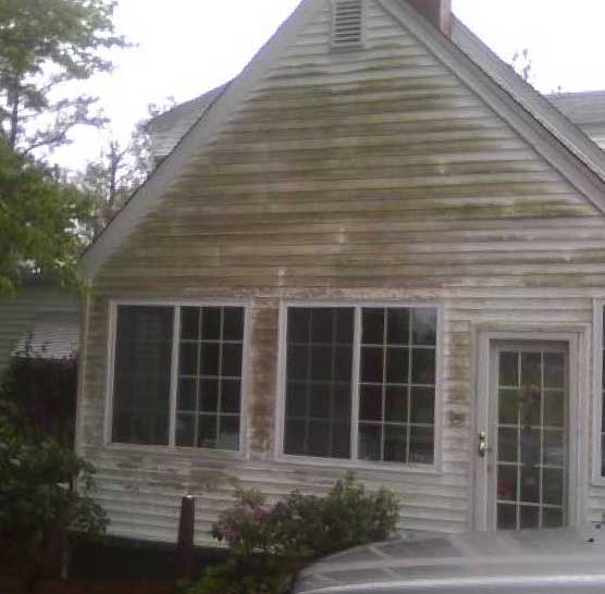 Gallery Images