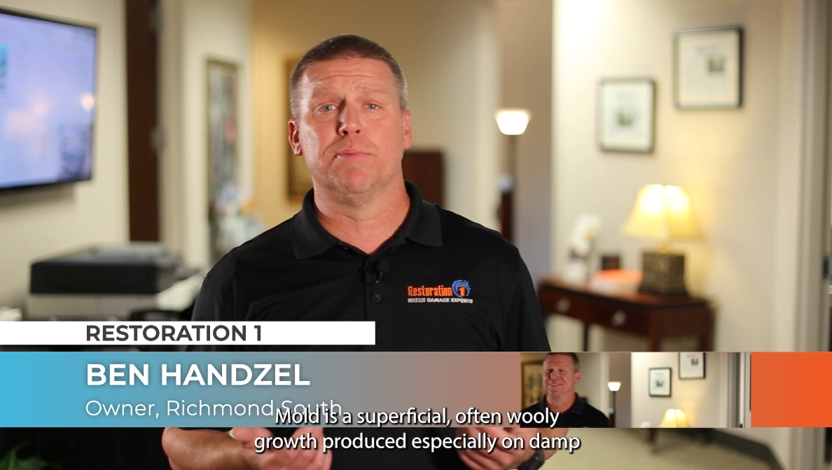 Mold insurance video