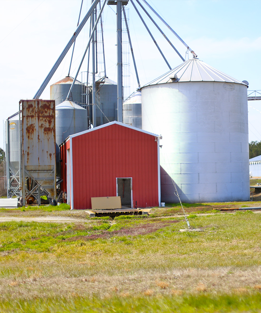 Photo of Farm