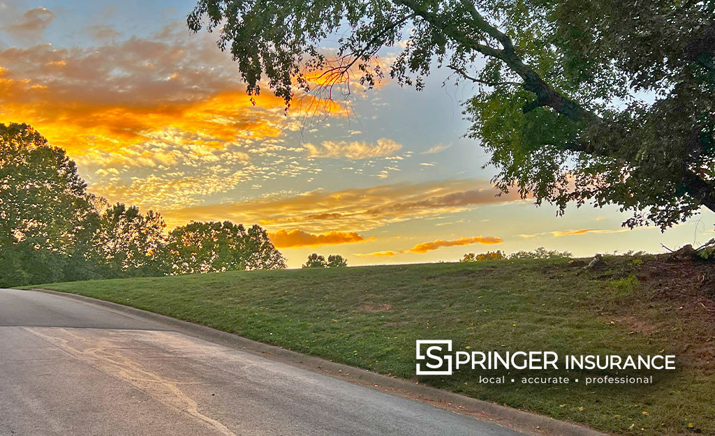 A beautiful sunset in Midlothian... I saw this in my neighborhood on my way home one evening and thought 'I need to take that picture' and look, I'm using in a blog post that I couldn't figure out which picture to use.